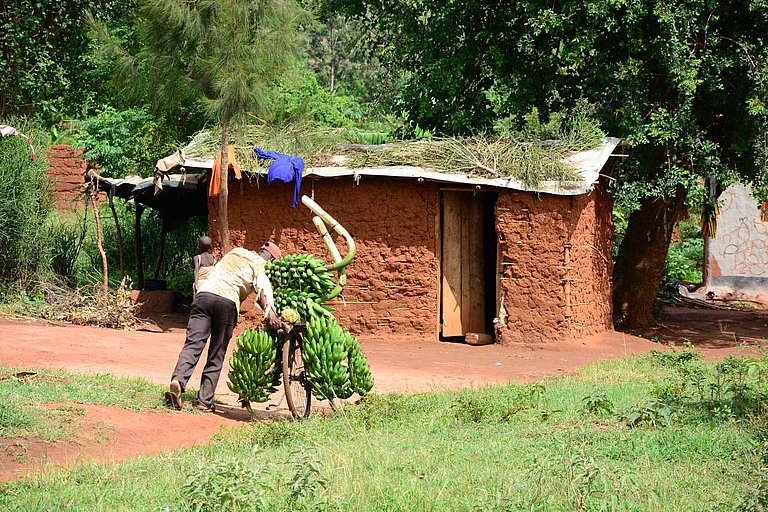 Gemeinsam mit unserer Partnerorganisation COVOID leisten wir einen Beitrag, um die prekäre Ernährungssituation in der Flüchtlingssiedlung Nakivale im Südwesten Ugandas zu verbessern (Foto: AWO International)