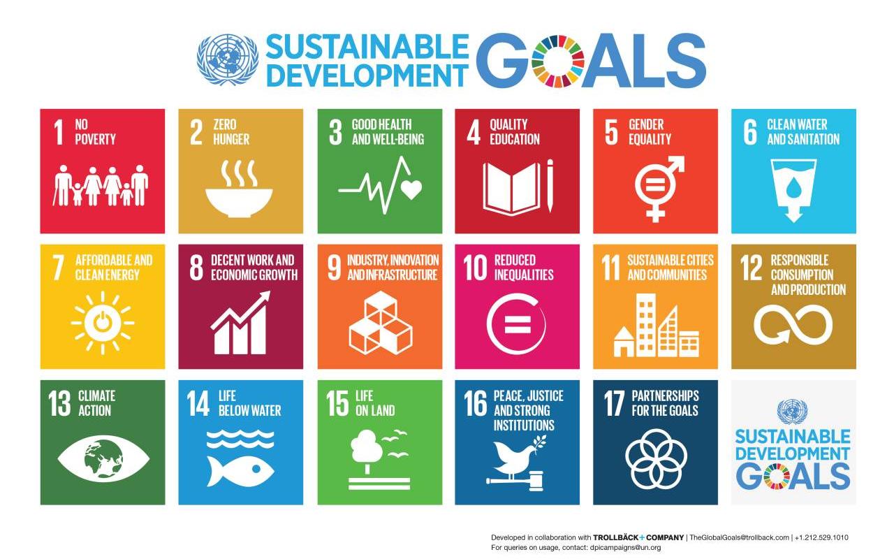 Sustainable Development Goals: 17 Ziele für eine nachhaltige Entwicklung (Quelle: UN)