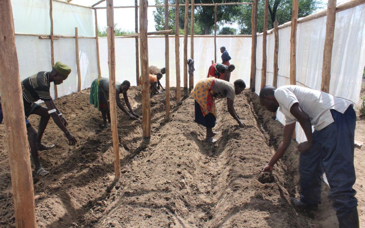 Greenhouses protect seeds and plants from locusts. (Photo: AWO International/ECO)