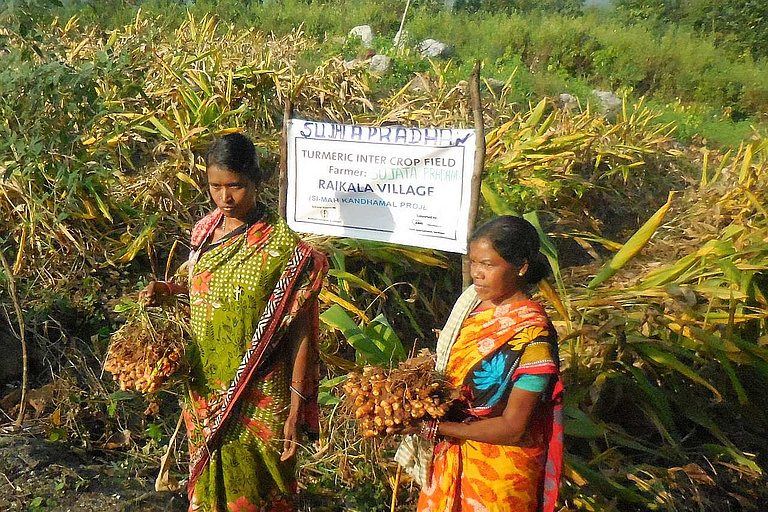 Die Distrikte Malkangiri und Kandhamal gehören zu den Ärmsten im Bundesstaat Odisha. Trotz der schwierigen Bedingungen sind bereits schon im ersten Jahr deutliche Erfolge sichtbar. (Foto: AWO International)