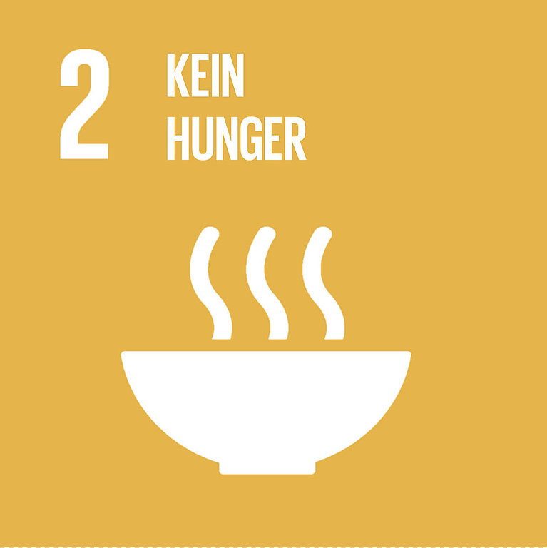Ziel 2: Den Hunger beenden, Ernährungssicherheit und eine bessere Ernährung erreichen, nachhaltige Landwirtschaft fördern. 