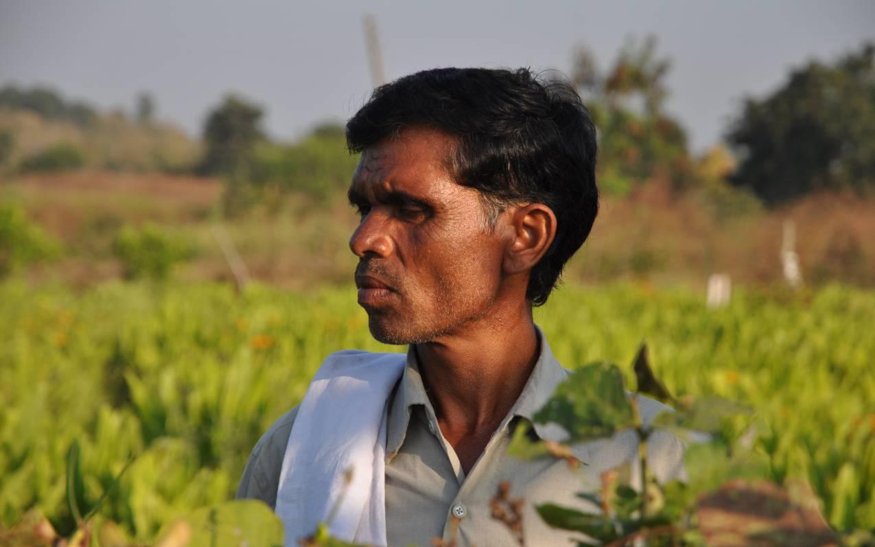 Nachhaltige Landwirtschaft in Indien