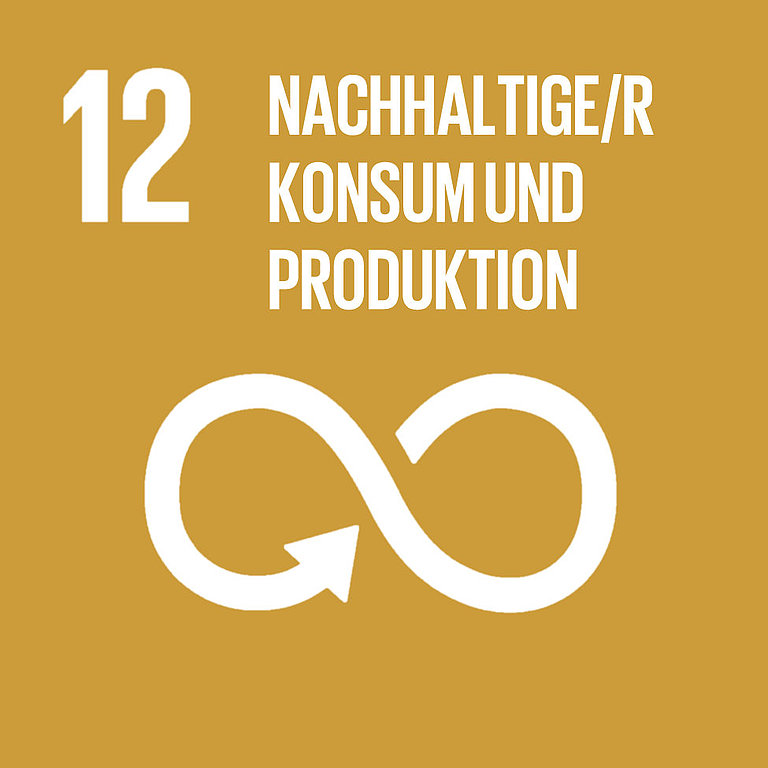 Ziel 12: Nachhaltige Konsum- und Produktionsmuster und effiziente Ressourcennutzung sichern. Nahrungsmittelverschwendung verringern. Öffentliche Beschaffung nachhaltig gestalten. 