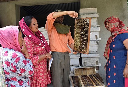 Förderung von Lebengrundlagen und Einkommensicherung über Bienenzucht für rückkehrende sowie potentielle Migrant*innen (Foto: NEEDS/AWO International)