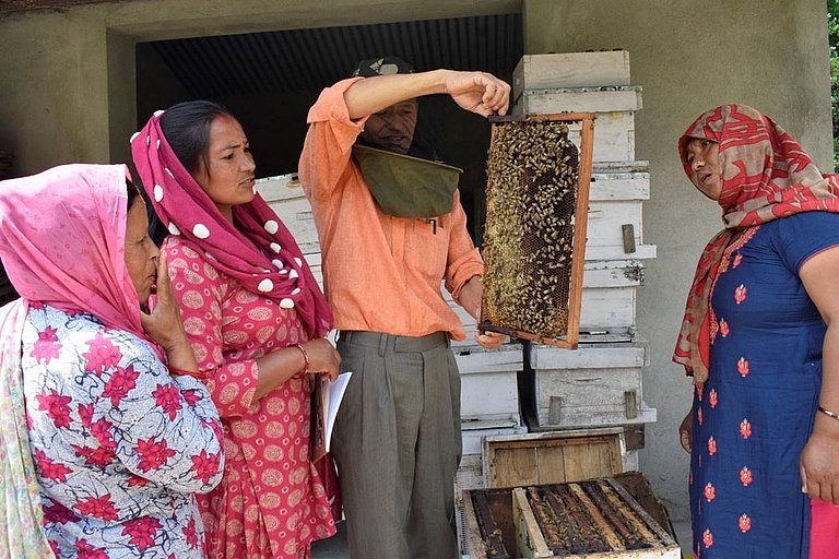 Promotion of livelihoods and income security through beekeeping for returning and potential migrants (pic: NEEDS/AWO International)