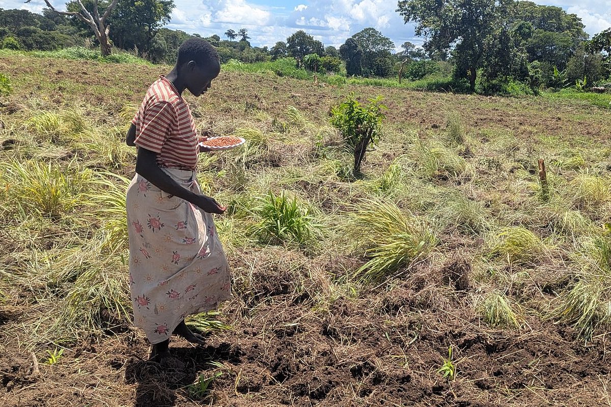 Eine Frau verteilt Samen auf einem Feld.