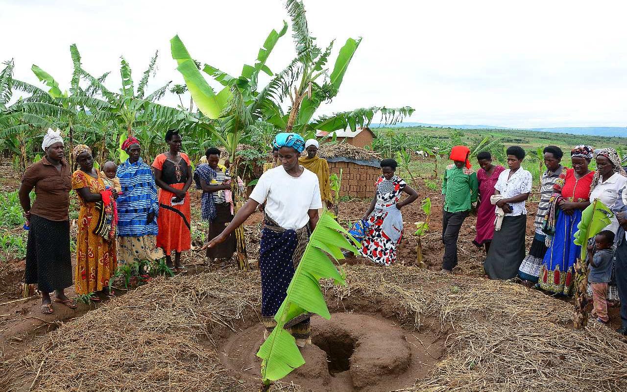 Mit ökologischer Landwirtschaft wird sowohl die die Ernährung der Menschen gesichert als auch die Umwelt geschützt. (Foto: AWO International)
