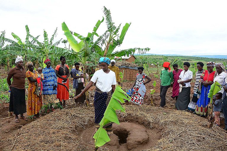 Mit ökologischer Landwirtschaft wird sowohl die die Ernährung der Menschen gesichert als auch die Umwelt geschützt. (Foto: AWO International)
